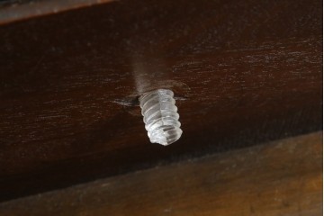 イギリスアンティーク　マホガニー材　ガラスの取っ手が目を惹くチェスト　(R-073696)