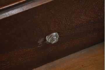 イギリスアンティーク　マホガニー材　ガラスの取っ手が目を惹くチェスト　(R-073696)