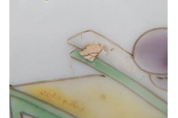 幕末　伊万里　色絵　多様な絵付けが目を惹く小皿&銘々皿5枚セット(鶴、つる、ツル、松、竹、梅、和皿、和食器)(R-073758)