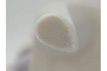 スペイン　リヤドロ　LLADRO　若い道化師　淡い色味が可愛らしいフィギュリン(ピエロ、猫、ねこ、ネコ、男の子、陶器人形、置物、オブジェ)(R-073768)