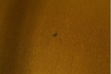 和製アンティーク　鮮やかな色味でお部屋のアクセントにおすすめのレトロな3人掛けソファ(アームソファ、3P、トリプルソファ)(R-073790)