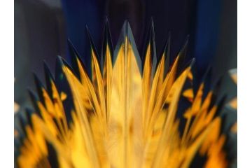 黒木国昭　綾切子　繊細なカットが美しく華やかな色彩が存在感を放つ花器(花瓶、花入、フラワーベース、ガラス、硝子)(R-073813)