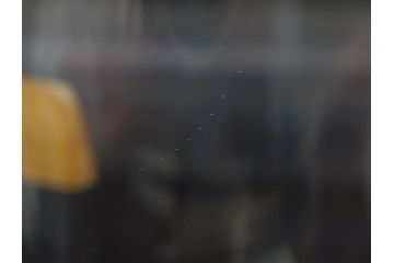 フランス　Baccarat　バカラ　パーフェクション　シンプルながら美しいフォルムのタンブラー3客セット(グラス、フルレッドクリスタルガラス)(R-073823)