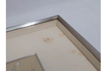 堂本印象　チューリップ咲く　吉田清泉堂　シール付　可憐なチューリップが目を惹く日本画(絵画、額装、箱付き)(R-073832)
