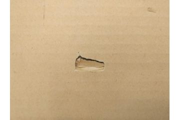 堂本印象　チューリップ咲く　吉田清泉堂　シール付　可憐なチューリップが目を惹く日本画(絵画、額装、箱付き)(R-073832)