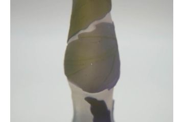 フランス　エミールガレ　カメオ技法　紫陽花文　優雅な空間を演出してくれる小花瓶(一輪挿し、花器、共箱付き)(R-073835)
