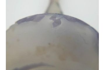 フランス　エミールガレ　カメオ技法　紫陽花文　優雅な空間を演出してくれる小花瓶(一輪挿し、花器、共箱付き)(R-073835)