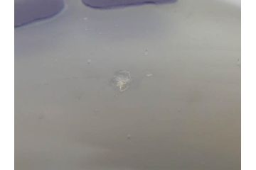 フランス　エミールガレ　カメオ技法　紫陽花文　優雅な空間を演出してくれる小花瓶(一輪挿し、花器、共箱付き)(R-073835)