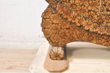 和製アンティーク　激レア　希少!!　高級品　入手困難　珍しい菊花木の存在感抜群な飾り棚(茶棚、違い棚、茶箪笥、収納棚、戸棚、店舗什器)(R-073928)