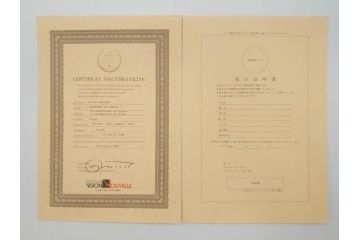 真作　証明書付き　オリジナル版画作品　アルフレッド デフォッセ(Alfred Defossez)　シャトー・ブラン　91/125(デフォセ、Promenade by the castle、ビジョン ヌーベル(VISION NOUVELLE)社、絵画、額装)(R-074104)