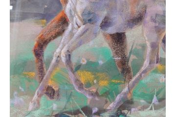 真作　赤石文雄　「悠」　8号　躍動感のある色使いに思わず見惚れてしまうパステル画(馬の親子、動物、ウマ、うま、絵画、額装、箱付き)(R-074130)