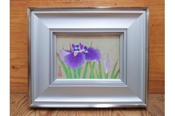 【真作】 京都　日本画家　井上富夫　「花菖蒲」(共シール、絵画、額装、箱付き)(R-074131)
