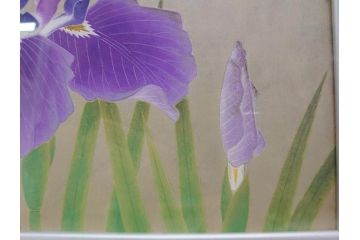 【真作】 京都　日本画家　井上富夫　「花菖蒲」(共シール、絵画、額装、箱付き)(R-074131)