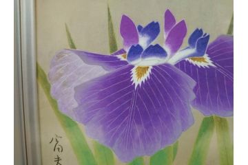 【真作】 京都　日本画家　井上富夫　「花菖蒲」(共シール、絵画、額装、箱付き)(R-074131)
