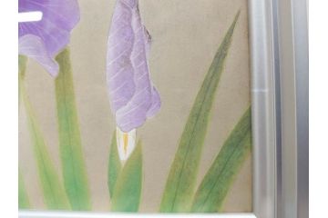 【真作】 京都　日本画家　井上富夫　「花菖蒲」(共シール、絵画、額装、箱付き)(R-074131)