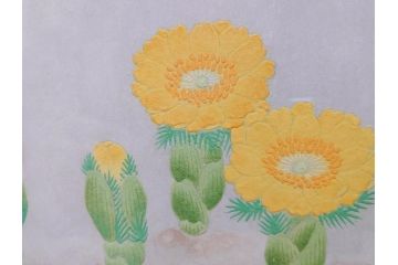 真作　京都　日本画家　井上富夫　「福寿草」(共シール、絵画、額装、箱付き)(R-074132)