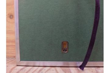 真作　京都　日本画家　井上富夫　「福寿草」(共シール、絵画、額装、箱付き)(R-074132)