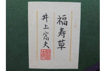 真作　京都　日本画家　井上富夫　「福寿草」(共シール、絵画、額装、箱付き)(R-074132)