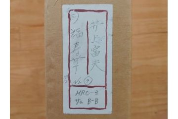 真作　京都　日本画家　井上富夫　「福寿草」(共シール、絵画、額装、箱付き)(R-074132)