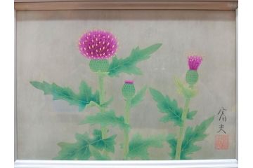 真作　京都　日本画家　井上富夫　「薊」(アザミ、共シール、絵画、額装、箱付き)(R-074133)