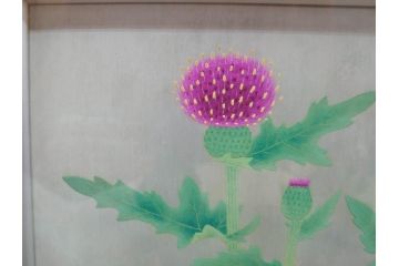 真作　京都　日本画家　井上富夫　「薊」(アザミ、共シール、絵画、額装、箱付き)(R-074133)