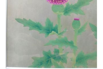真作　京都　日本画家　井上富夫　「薊」(アザミ、共シール、絵画、額装、箱付き)(R-074133)