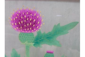 真作　京都　日本画家　井上富夫　「薊」(アザミ、共シール、絵画、額装、箱付き)(R-074133)
