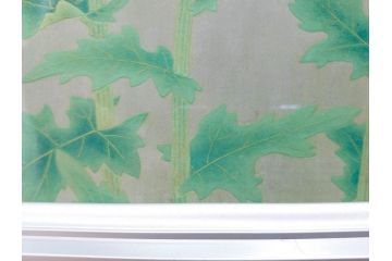 真作　京都　日本画家　井上富夫　「薊」(アザミ、共シール、絵画、額装、箱付き)(R-074133)