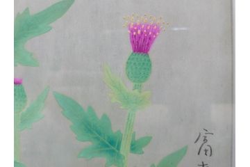 真作　京都　日本画家　井上富夫　「薊」(アザミ、共シール、絵画、額装、箱付き)(R-074133)
