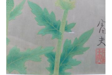 真作　京都　日本画家　井上富夫　「薊」(アザミ、共シール、絵画、額装、箱付き)(R-074133)