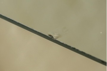 イギリスアンティーク　マホガニー材　猫脚がお洒落なキャビネット　(R-074137)