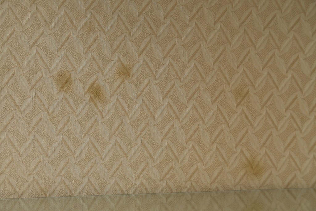 イギリスアンティーク　マホガニー材　猫脚がお洒落なキャビネット　(R-074137)