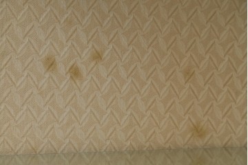 イギリスアンティーク　マホガニー材　猫脚がお洒落なキャビネット　(R-074137)