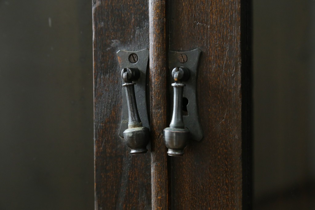 和製アンティーク　上手物!!　栓材　象嵌入り　扉のデザインが目を引く本箱　(R-074142)