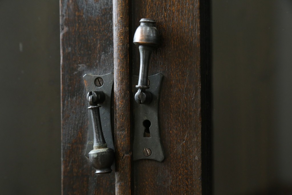 和製アンティーク　上手物!!　栓材　象嵌入り　扉のデザインが目を引く本箱　(R-074142)