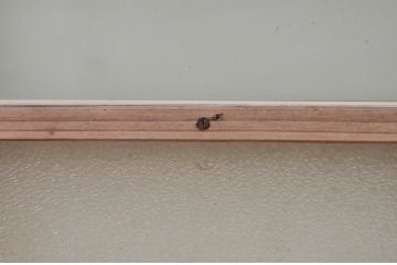 アンティーク建具　古き良き時代の趣を感じる小窓2枚セット(引き戸、ガラス戸)(R-074188)