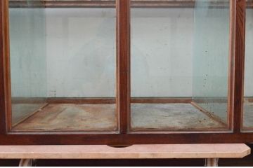 和製アンティーク　高級品　特注　総欅(ケヤキ)材　卓上　お洒落なディスプレイが叶う扉付き横長ガラスケース(Gケース、ショーケース、飾り棚、陳列棚、店舗什器)(R-074202)