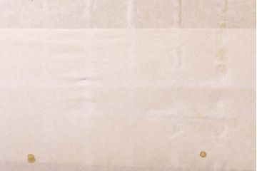 アンティーク建具　長い歴史を刻んだ味わいが魅力的な障子帯戸2枚セット(引き戸、板戸、格子帯戸、障子戸)(R-074484)
