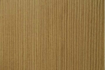 中古　美品!!　上手物　瀧上昭治作　伝統的工芸品　桐材　五三桐紋の金具が格式を添える着物箪笥　定価約180万円　(R-074562)