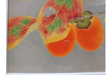 真作　京都　日本画家　井上富夫　「柿」(カキ、共シール、絵画、額装、箱付き)(R-074564)