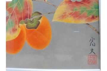 真作　京都　日本画家　井上富夫　「柿」(カキ、共シール、絵画、額装、箱付き)(R-074564)