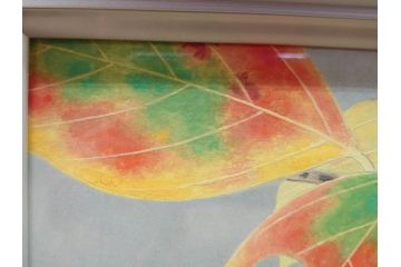 真作　京都　日本画家　井上富夫　「柿」(カキ、共シール、絵画、額装、箱付き)(R-074564)
