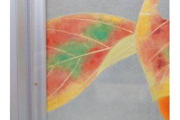 真作　京都　日本画家　井上富夫　「柿」(カキ、共シール、絵画、額装、箱付き)(R-074564)