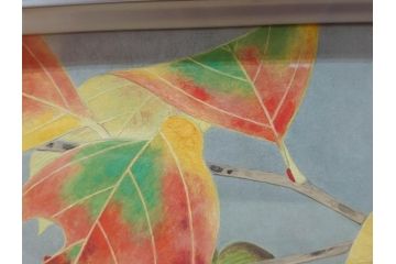真作　京都　日本画家　井上富夫　「柿」(カキ、共シール、絵画、額装、箱付き)(R-074564)