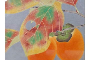 真作　京都　日本画家　井上富夫　「柿」(カキ、共シール、絵画、額装、箱付き)(R-074564)