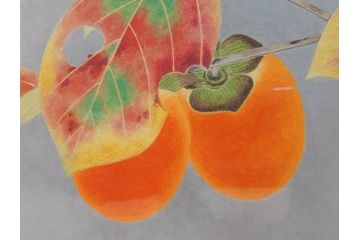 真作　京都　日本画家　井上富夫　「柿」(カキ、共シール、絵画、額装、箱付き)(R-074564)