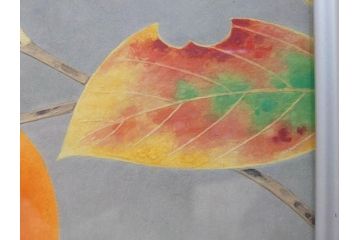 真作　京都　日本画家　井上富夫　「柿」(カキ、共シール、絵画、額装、箱付き)(R-074564)