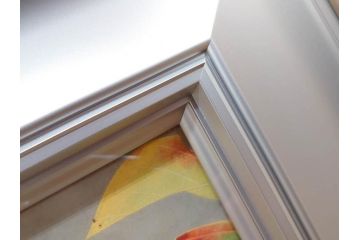 真作　京都　日本画家　井上富夫　「柿」(カキ、共シール、絵画、額装、箱付き)(R-074564)