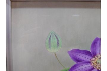 真作　京都　日本画家　井上富夫　「鉄線」(共シール、絵画、額装、箱付き)(R-074565)