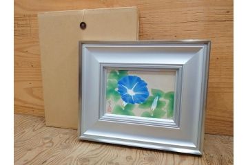 真作　京都　日本画家　井上富夫　「朝顔」(アサガオ、共シール、絵画、額装、箱付き)(R-074566)